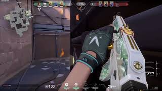 DAT SPRAY TRANSFER