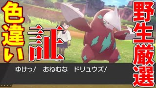 ポケモン剣盾 証持ち色違いドリュウズ野生厳選 ゆっくり実況 Youtube