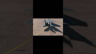 F-15C Wee-Woo #dcs #f15