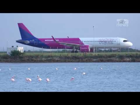 Video: Si i trajtojnë linjat ajrore të miturit e pashoqëruar