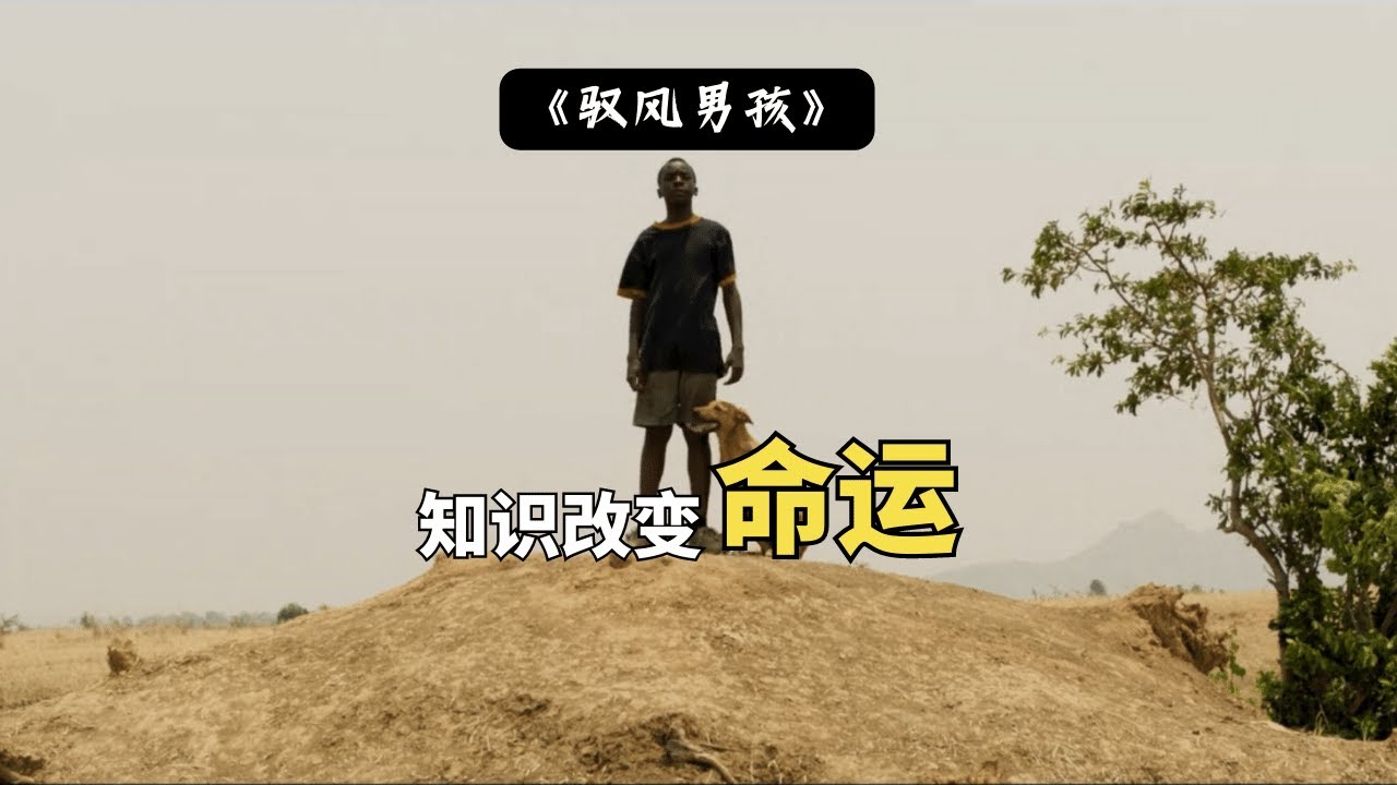 中的勇气与牺牲交织的情感之旅