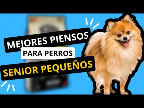 🎬 Video relacionado con piensos para perros senior