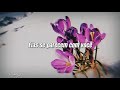 Snow flower by v bts feat peakboy  traduo