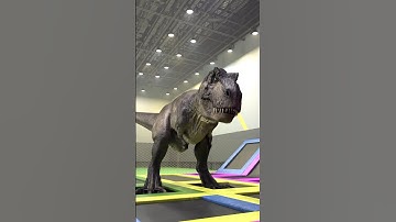 Rexy is flying | T-Rex Meme 05