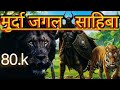  मुर्दा जगल साहिबा बहुत खतरनाक😈 जानवर लोग देख कर पसंद #viral #animals #pets विडिओ  22 March 2026