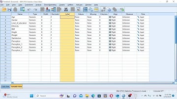 Data Entry and Data Management in SPSS