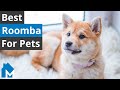 4 Best Roomba for Pet Hair — Roomba S9+ vs. i7+ vs. e5 vs. 675 Comparison