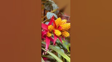 ¡Curso para mostrar de forma exquisita y única!