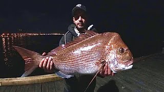 Land based monster Melbourne snapper | Port Phillip Bay Snapper