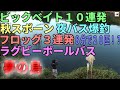 誰でも投げれば100匹釣れる夢の島行ってきた　バス釣り　Bass fishing in Japan