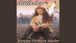Kurşun Türküye Neyler