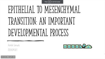 Epithelial to Mesenchymal Transition