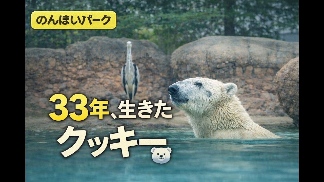 Nonhoi Park] Cookie the Polar Bear 🐻‍❄️Rest in peace… Days