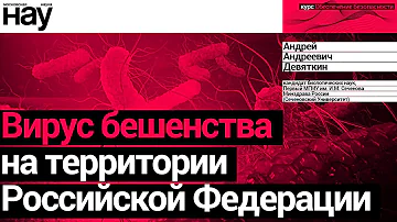 «‎Вирус бешенства на территории Российской Федерации». Спикер: Андрей Андреевич Девяткин