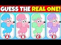 🐩REAL or FAKE Coco?! Spot the BLUEY Show IMPOSTER! | Snickers, Bingo, Bandit, Pom Pom, Winton, Chili