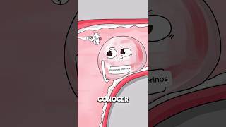 Cómo pueden los fibromas uterinos impedir el embarazo? ⚠️🤰