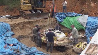 Bones of new dinosaur species discovered in Missouri