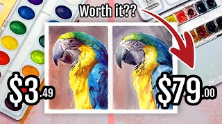 Cheap vs Expensive Crayola and Schmincke Watercolor Painting Comparison and Review