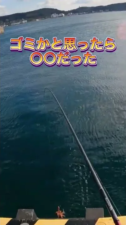 釣り Shorts エギング エギングシャクリ方面白い 釣り動画 釣りおもしろ動画 エギングシャクリ方 癖が強い アオリイカ エギンガー たっちゃん Mp3