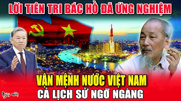 Tiết Lộ Bất Ngờ Về Lời Tiên Tri Của Bác Hồ Về Vận Mệnh Nước Việt Khiến Cả Lịch Sử Ngỡ Ngàng