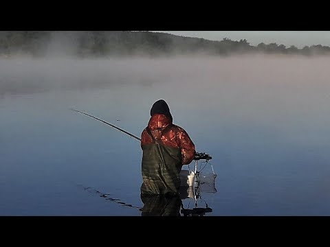 Video: Putojančios Kavos (dar žinomos Kaip „Espressoda“) Receptas