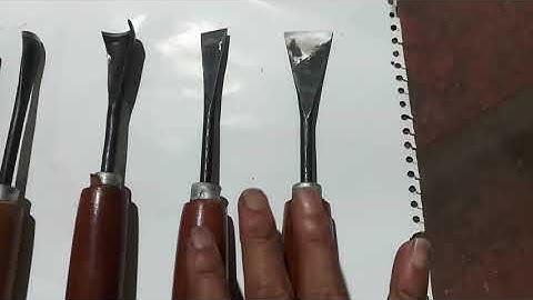 Giới thiệu chi tiết bộ đục 10 cây làm bon sai cây cảnh.Lh:0844.266.988.