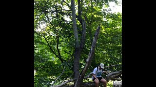 Yung Lean - Ginseng Strip 2002 (Remastered Clean Version)