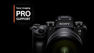 Sony Pro Support Now Available In Denmark, Finland, Norway & Sweden