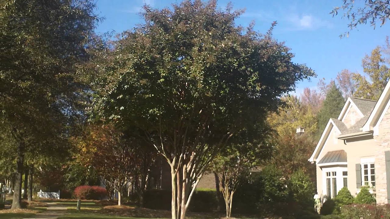 Charlotte NC Luxury Homes For Sale Highgrove YouTube