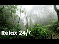  musica para relax 2021 sin copyright   relax247  relajante  la mente y reducir el estrs