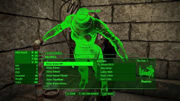 Fallout 4: Sirius Assault Suit