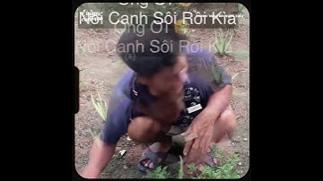 Ai rồi cũng sợ NÓC NHÀ thôi =))…