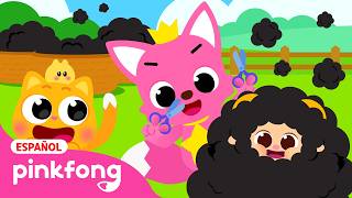 Bee Bee Oveja Negra🐑🖤 | Canciones Tradicionales de Pinkfong y Ninimo | Pinkfong en español