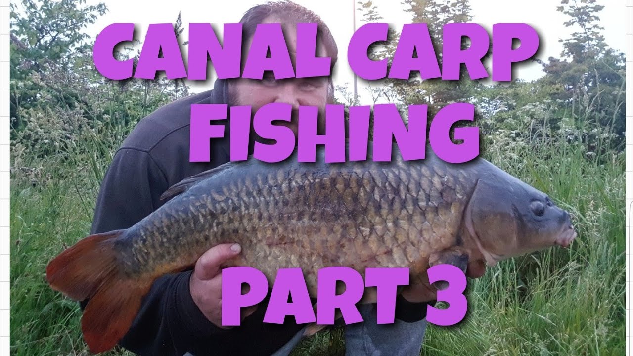 ***Night Fishing** for Canal Carp Part 3 Effort Equals Success YouTube