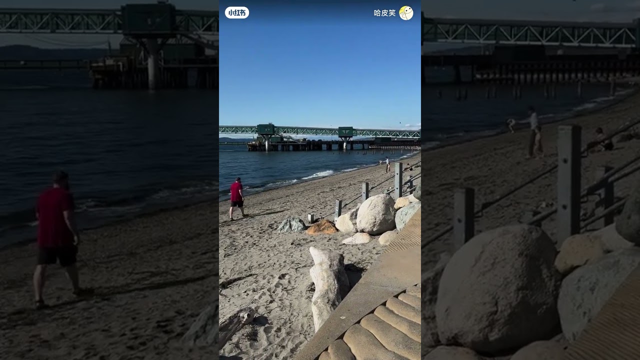 Port of Edmonds 🤩