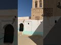 حضرة القادرية مزار سيدي إبراهيم الشريف نفطة تونس 