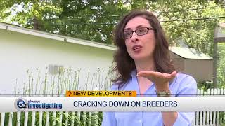 Ohio legislators crack down on puppy mill problems