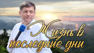 картинка: Жизнь в последние дни.