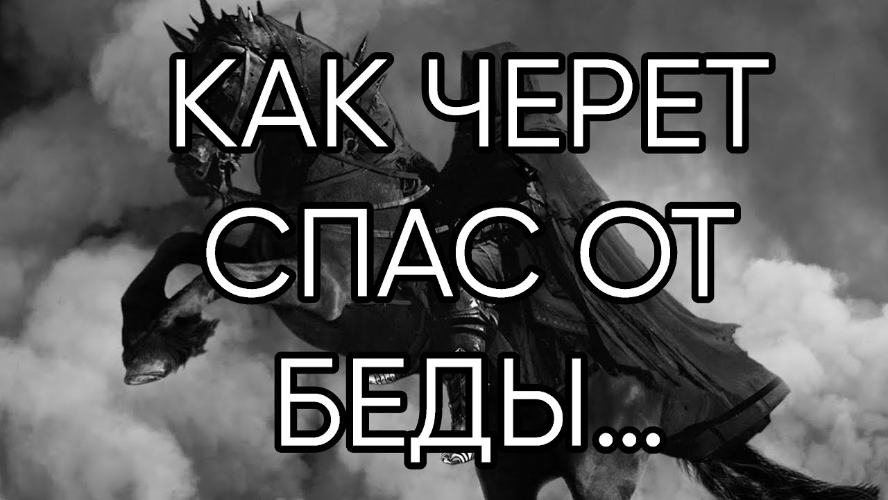 КАК ЧЕРЕТ СПАС ОТ БЕДЫ…ИНГА ХОСРОЕВА - YouTube