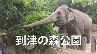 到津の森公園に行く。　象、プレーリードッグ