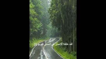 تلاوة تريح الاعصاب ❤ للقارئ الشيخ عبد الرحمان السديس سورة التين