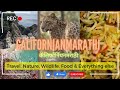 Californianmarathi channel introduction