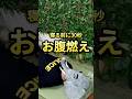 【寝る前に30秒！お腹燃え🔥】1日30秒！一緒にやってみてな🙌#shorts #ダイエット #お腹痩せ #脂肪燃焼#ダイエット仲間募集