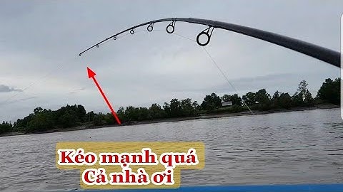 Câu cá ngát || trúng ngay luồng cá ăn lia lịa đến phút cuối
