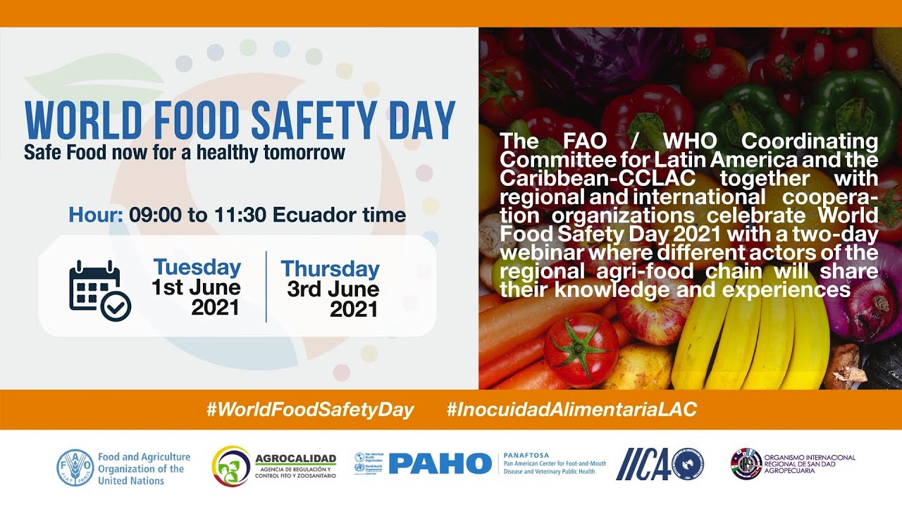 World Food Safety Day in Latin America and the Caribbean (day 2) YouTube