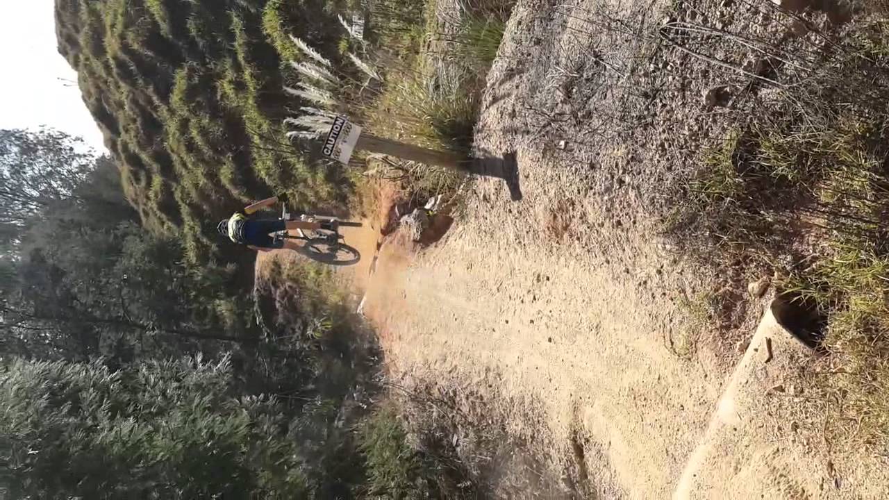 Bike park jumps YouTube