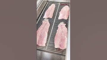 CNC snakehead fish slicer machine