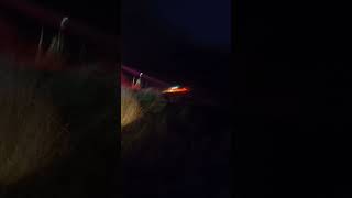 Fox Terrier X Jack Russell Hunting. Tracking. Bailing. Possum. Hunting Terrier. Hunting Dog