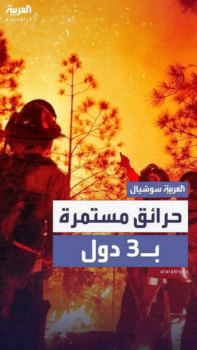            
 - نشر قبل 12 دقيقة
