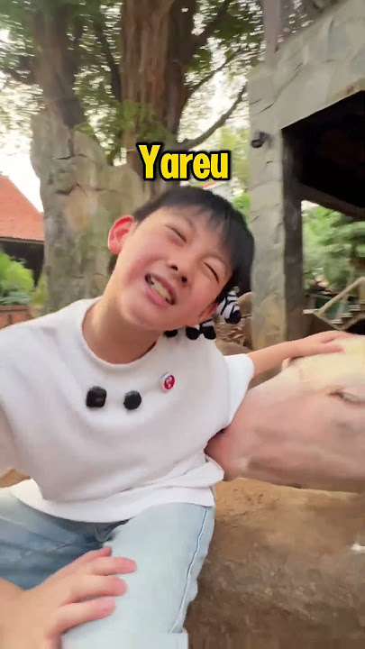 Kebo yareuu